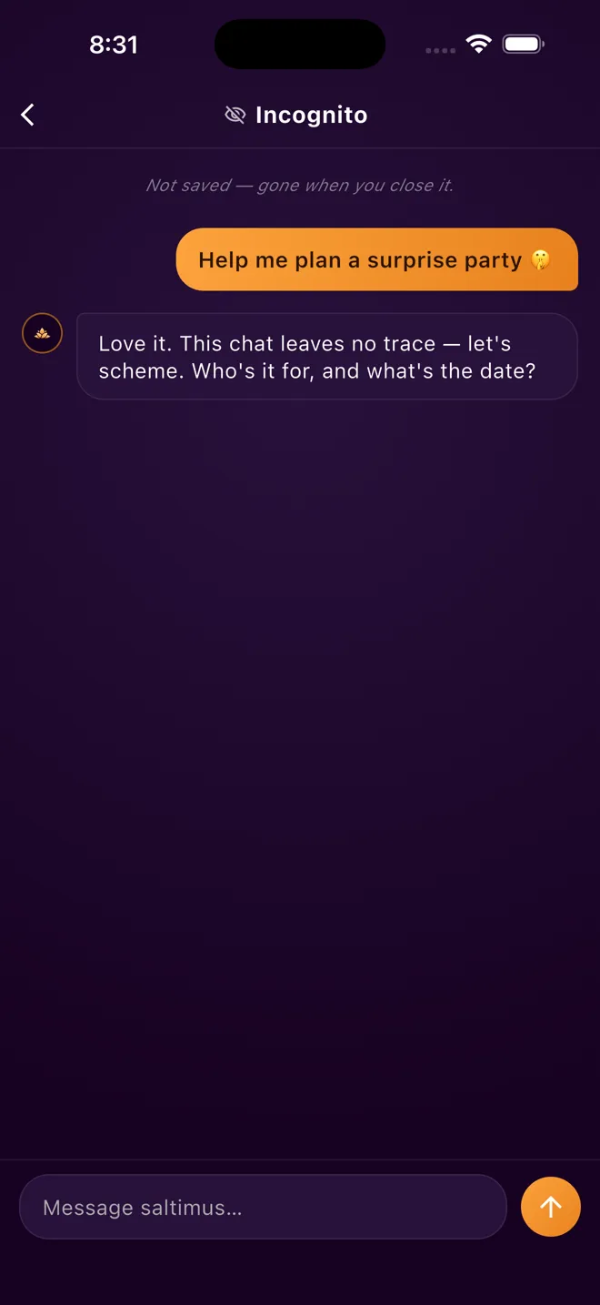 An incognito chat with saltimus; the note at the top of the thread reads Not saved — gone when you close it